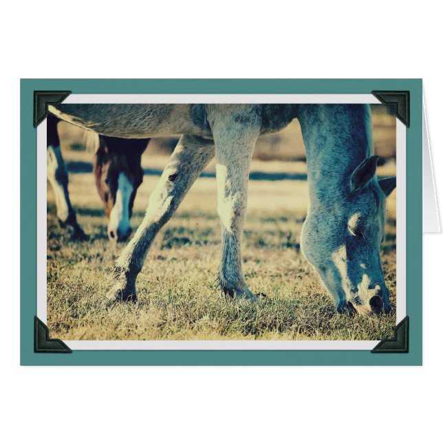 Cartão Equídeos De Cruzamento (Frente Horizontal)