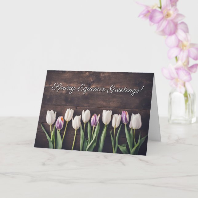 Cartão Equilíbrio da Primavera com Tulipas e Beleza de Ma (Orquídea)