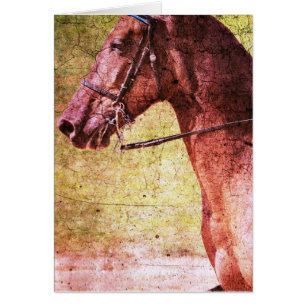 Cartão Equina de Montanha Rochosa