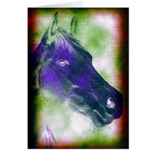 Cartão Equino 3
