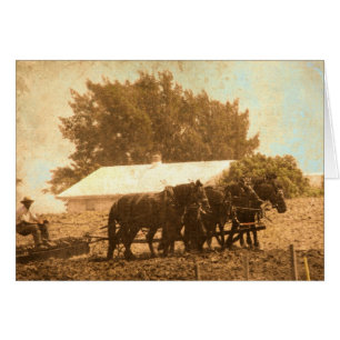 Cartão Equipe Amish