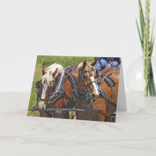 Cartão Equipe belga