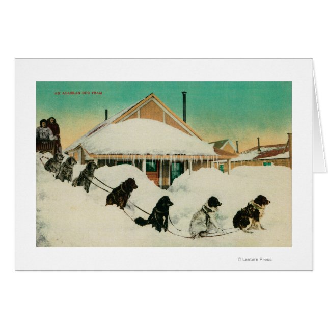Cartão Equipe de cães do Alasca descansando em SnowState (Frente Horizontal)