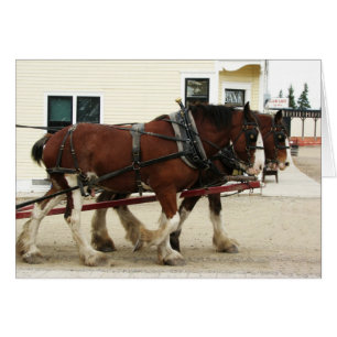 Cartão Equipe de Clydesdale, parque da herança, Calgary,