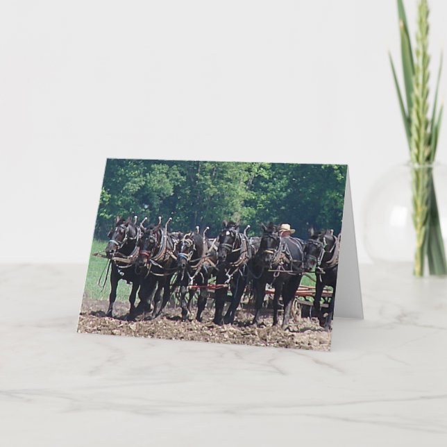 Cartão Equipe de Seis Cavalos (Frente)