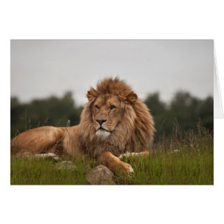 Cartão Equipe o seu sido um dia longo