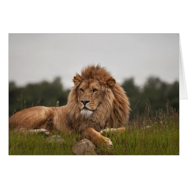 Cartão Equipe o seu sido um dia longo (Frente Horizontal)