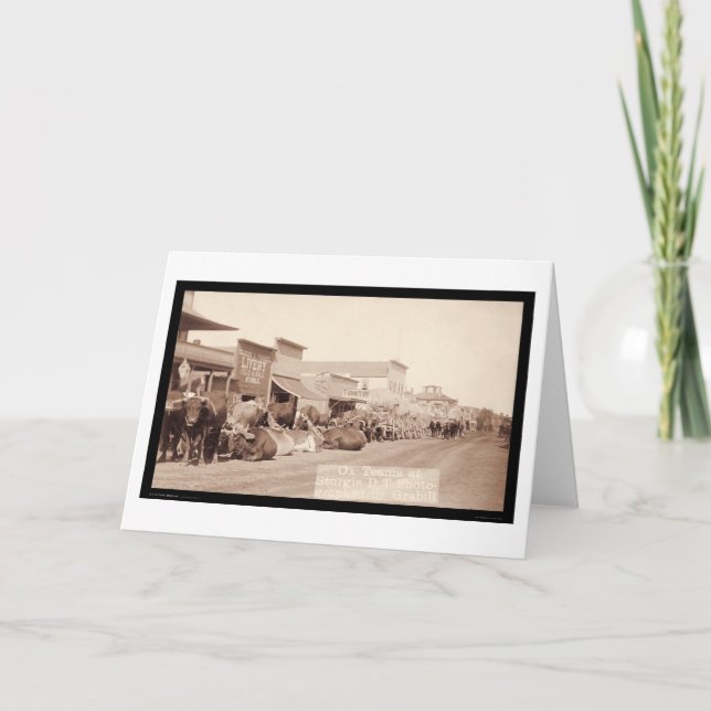 Cartão Equipes do boi no território SD 1887 de Sturgis (Frente)