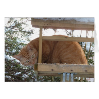 Cartão Erm, tweet, tweet?