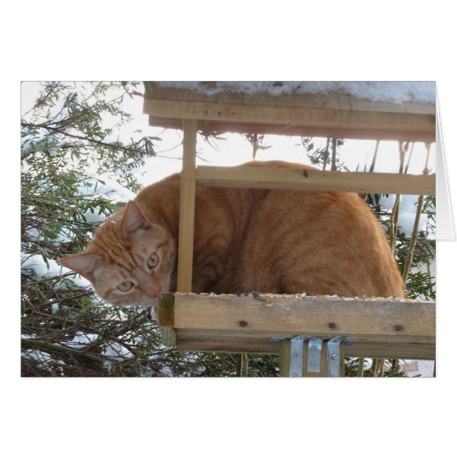 Cartão Erm, tweet, tweet? (Frente horizontal)