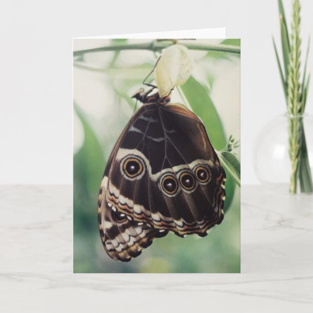 Cartão Ermerging Glory Greeting Card (Frente)