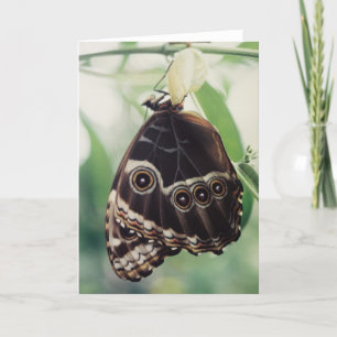 Cartão Ermerging Glory Greeting Card