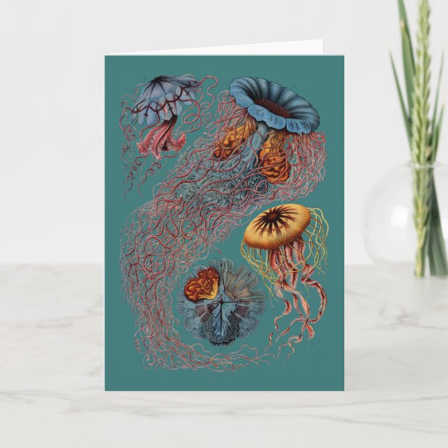 Cartão Ernst Haeckel's Disco Medusae (Frente)