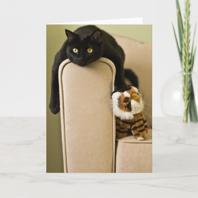 Cartão Ersatz Cats Notecard (Frente)