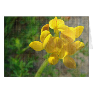 Cartão Erva Amarela bonito