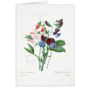 Cartão Ervilhas doces