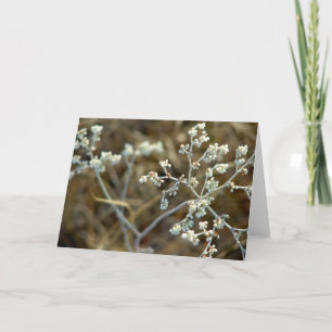 Cartão Ervilhas numa Viagem de Pesca