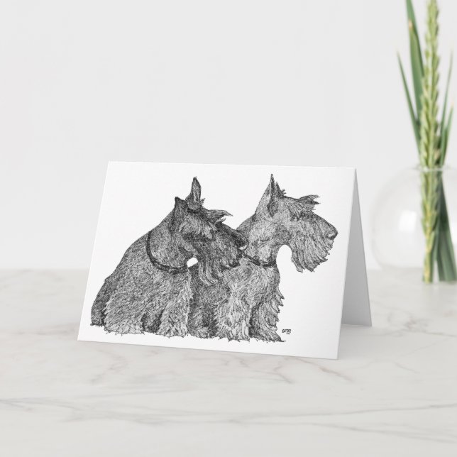 Cartão Esboço à Caneta e Tinta de Scottish Terriers Curio (Frente)