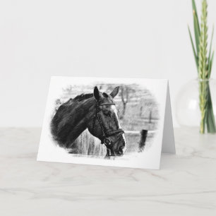 Cartão Esboço de Cavalo Preto e Branco