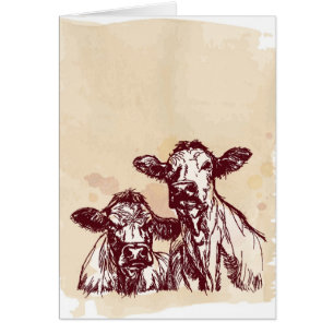 Cartão Esboço do desenhar da mão de duas vacas & vintage