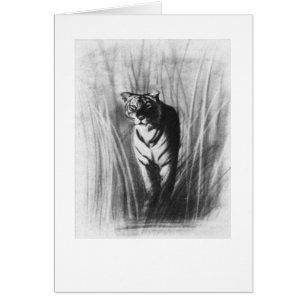 Cartão Esboço do tigre