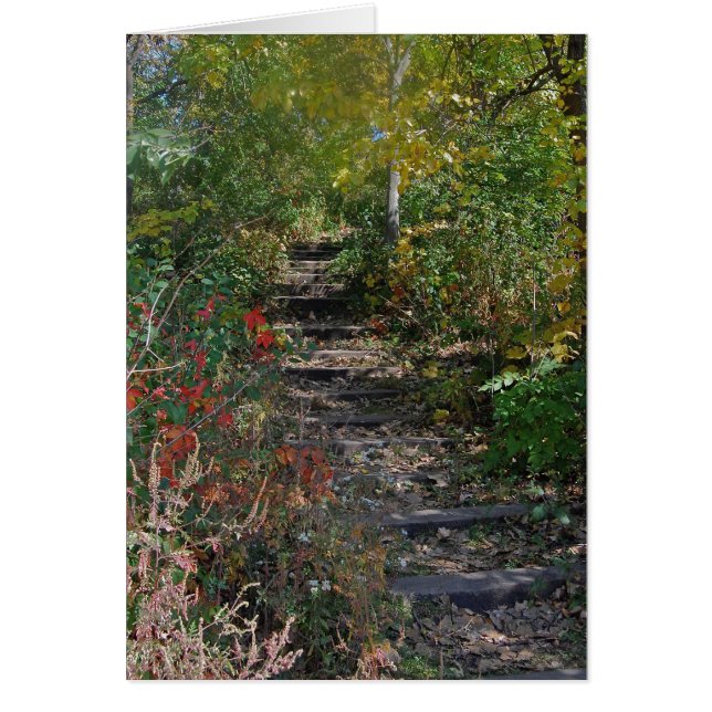 Cartão Escadaria escondida (Frente)