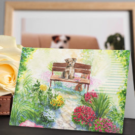Cartão Escadaria para o Céu Homenagem à Perda de Animal d