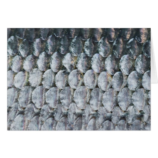 Cartão Escalas de Salmão Brilhante (Frente horizontal)