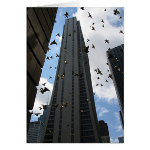 Cartão Escape da plaza do banco um