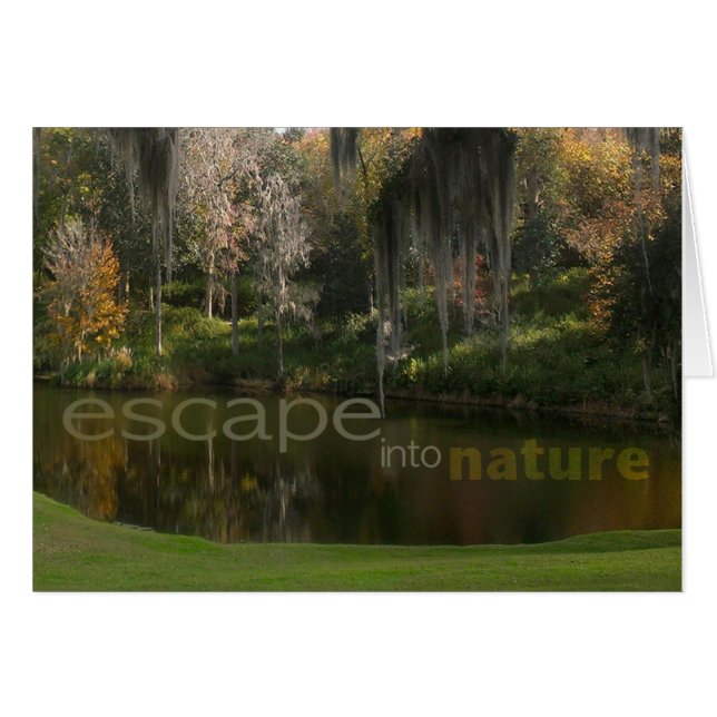 Cartão Escape na natureza (Frente horizontal)