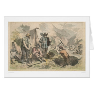 Cartão Escavadores Dourados de Califórnia (2525A)