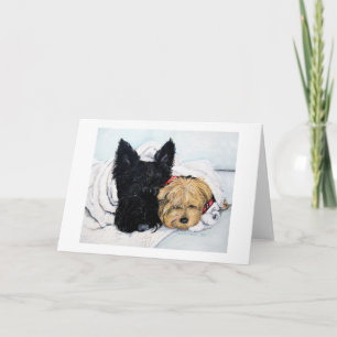 Cartão Escócia Terrier & Yorkie melhores amigos