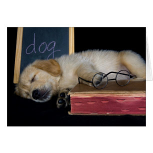 Cartão Escola de Doggie