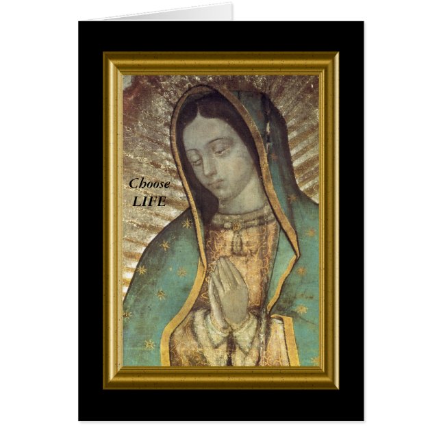 Cartão Escolher LIFE (Frente)