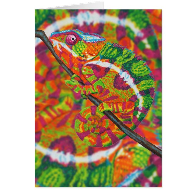 Cartão escondido do camaleão (Frente)