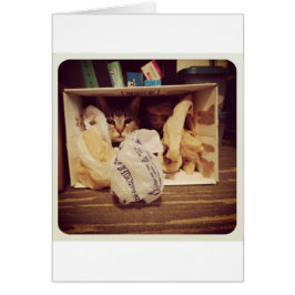 Cartão Escondido Secreto do Indigo