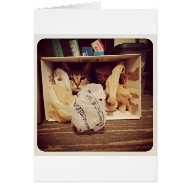 Cartão Escondido Secreto do Indigo (Frente)