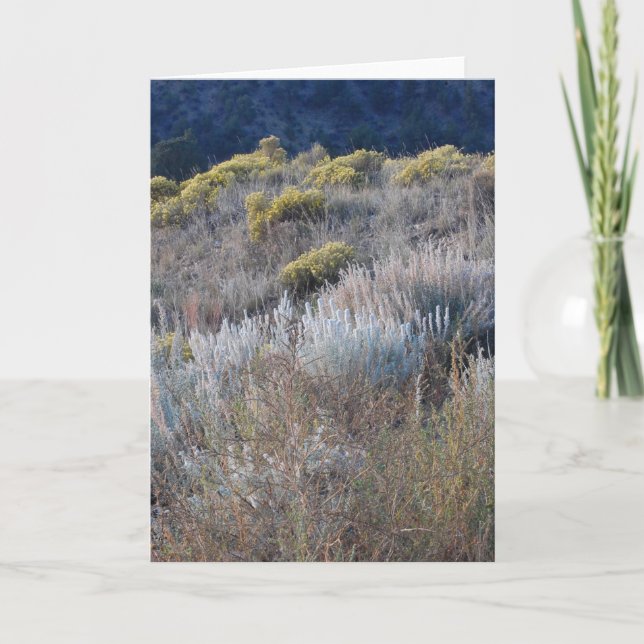 Cartão Escrutínio (Frente)