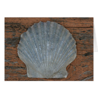 Cartão Escudo de Scallop