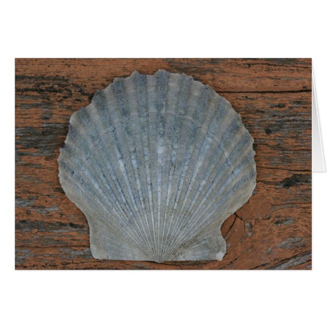 Cartão Escudo de Scallop (Frente Horizontal)