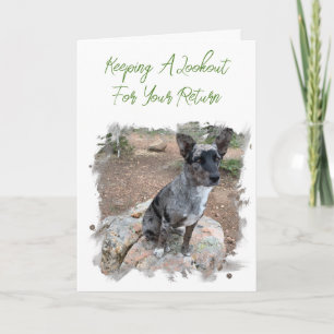 Cartão Espaço de Fotografia do Cão Bovinos Desaparecidos 