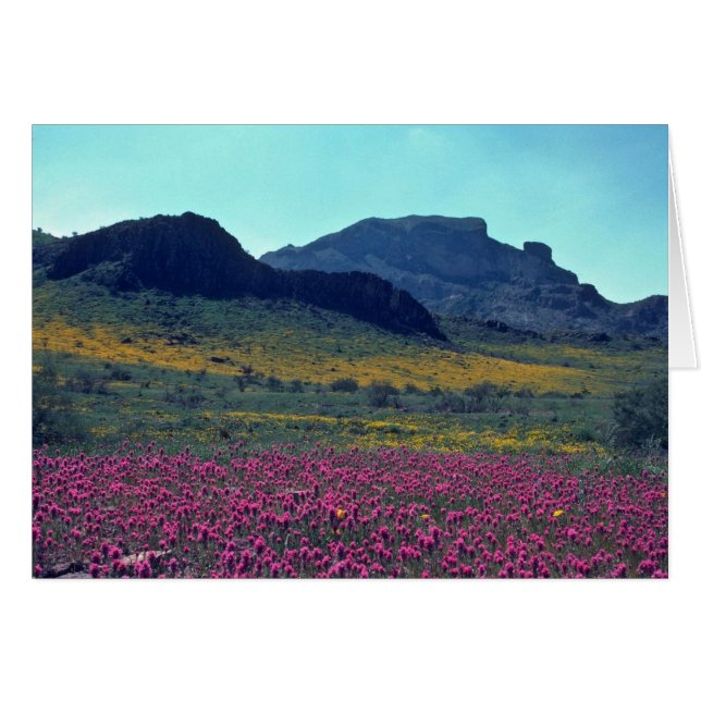 Cartão Espaços Coloridos (Frente Horizontal)