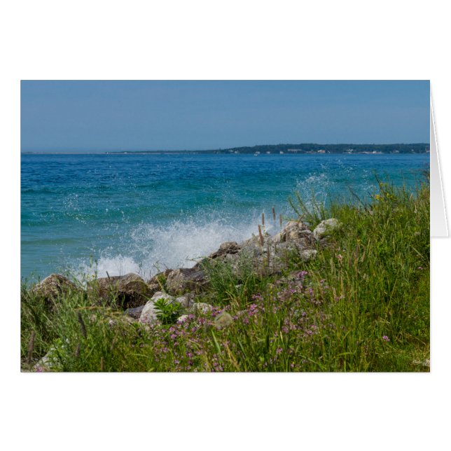 Cartão Espalhamento Em Mackinac (Frente horizontal)