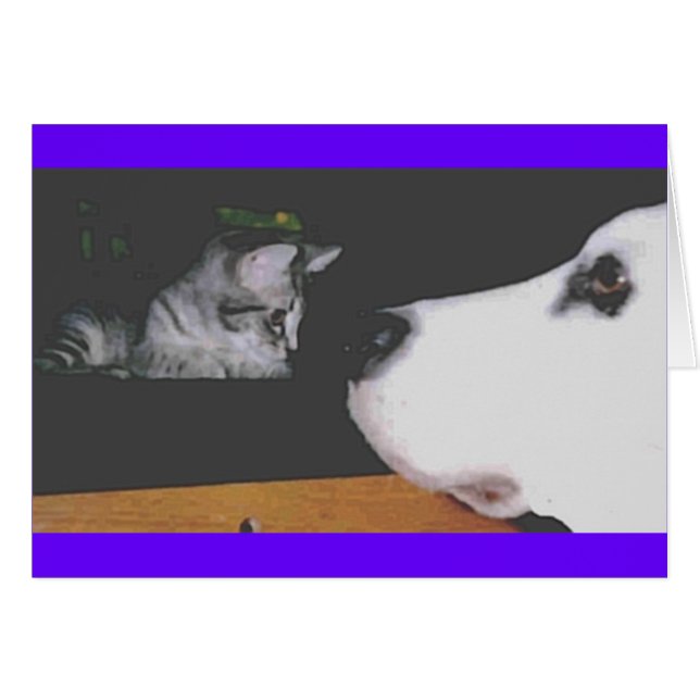 Cartão &Espalhar Kichou (Frente Horizontal)