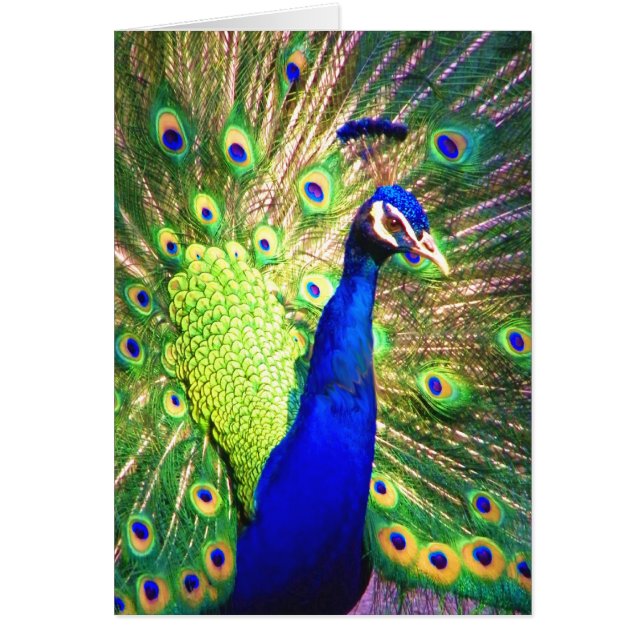 Cartão Espalhar O Amor (Frente)