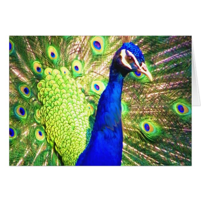 Cartão Espalhe o Amor (Frente Horizontal)