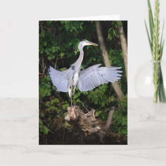 Cartão Espalhe Suas Asas