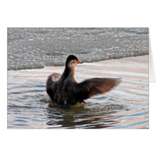 Cartão Espalhe Suas Asas