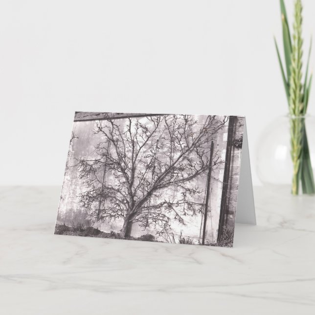 Cartão Espalier (Frente)