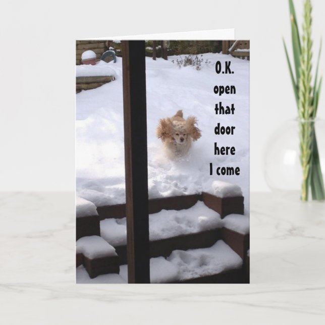 CARTÃO ESPANEL ESTÁ PRONTO PARA DIZER ***FELIZ ANIVERSÁRI (Frente)